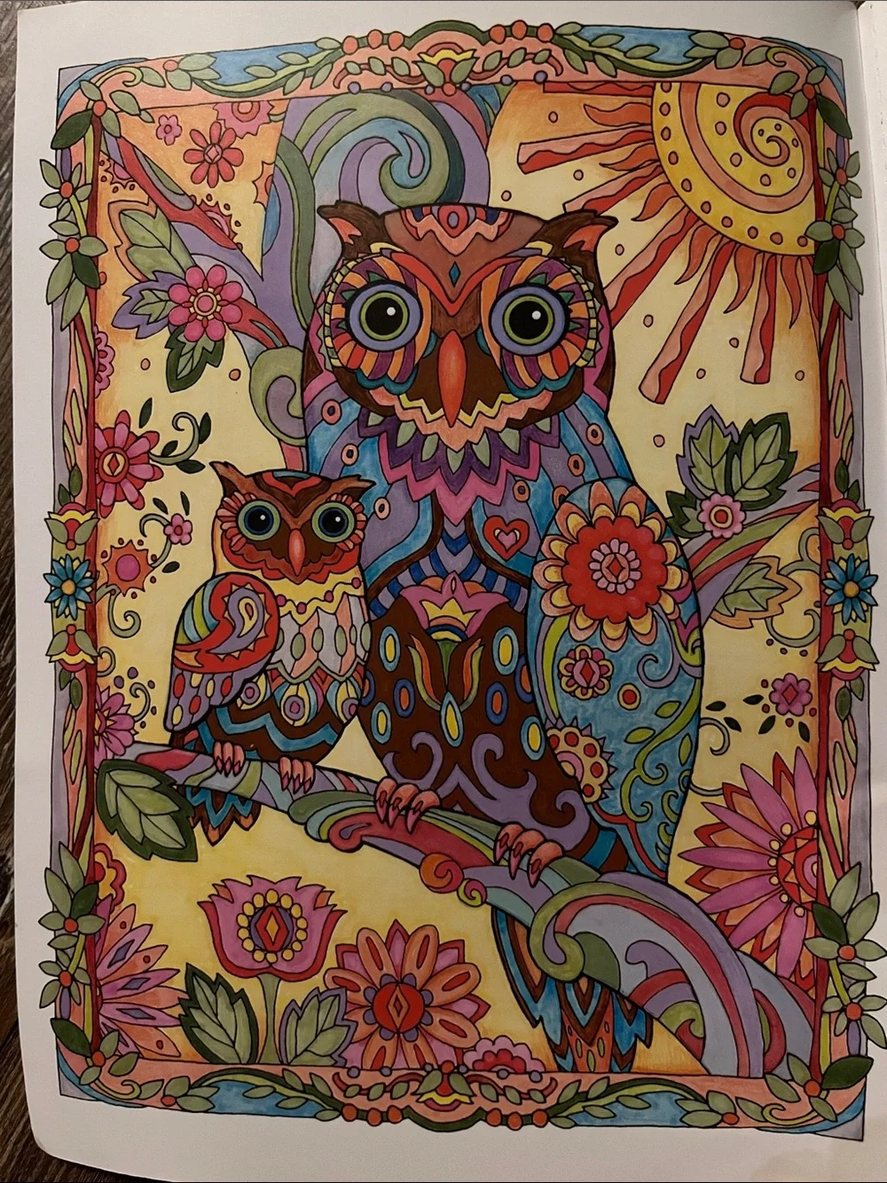 Creative Haven vibrant owl